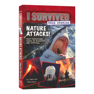 I Survived Nature Attacks 幸存者系列 我从自然灾难中生还 章节小说 英文课外读物 拓展阅读 自然现象解读 英文原版进口书