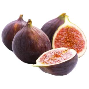 海蒂的花园旗舰店无花果树果苗家庭盆栽果树好养易结果可食用树苗