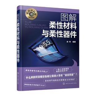 名师讲科技前沿系列 图解柔性材料与柔性器件 柔性电子制造工艺 柔性材料和柔性电子器件相关知识 对柔性电子学感兴趣读者参考