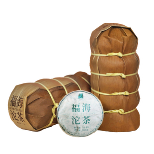 福海茶厂2025年沱茶标杆生茶云南勐海核心产区头春茶叶普洱茶笋壳