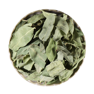 罗布麻嫩芽叶正品500g新疆罗布泊正品另售特级散装罗布麻非花茶叶