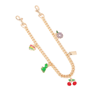 适用于coach蔻驰Laurel 31流浪包延长链条肩带改造加长包带配件