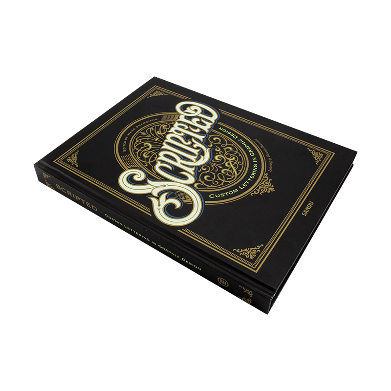 Scripted我写我型 手绘手写创意艺术中英文字体设计 平面设计广告字体素材创意集书籍