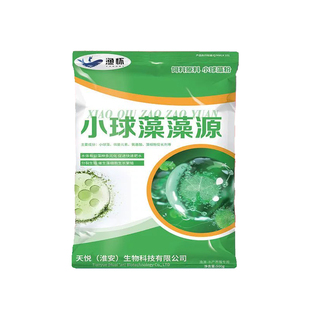 渔怀小球藻浓缩藻种复合藻种肥水培藻水产藻种养殖硅藻绿藻种增氧