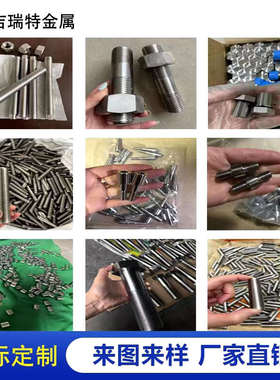 310S/2520/2205/2507/904L/1.4529不锈钢U型螺栓管卡牙条丝杆定做