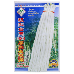 厚肉长豆角白豇豆种子特长春秋蔬菜孑种豆角种籽大全四季豆种高产