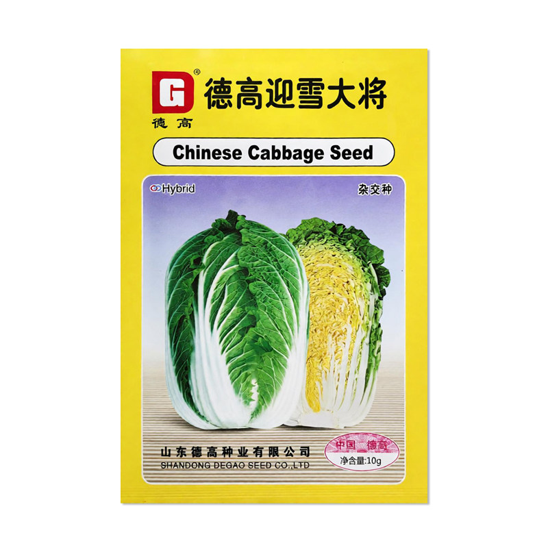 德高迎雪大将大白菜种子