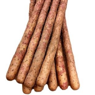 温县红皮乌鸡土铁棍山药正宗河南焦作怀山药新鲜铁杆淮山特产5斤