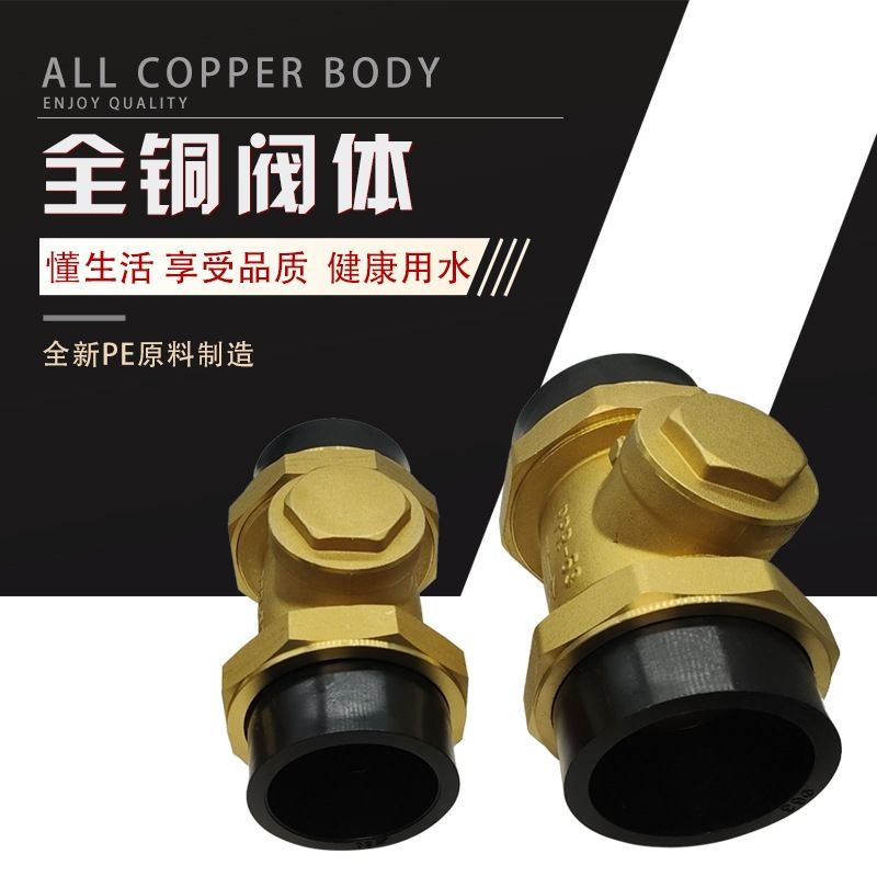 批发pe水管止回阀止回流自来水管道工程用活接热熔铜止回阀dn20
