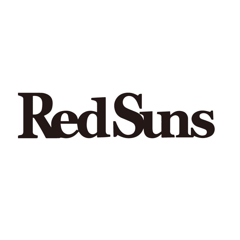 Redsuns反光防水改装汽车贴纸
