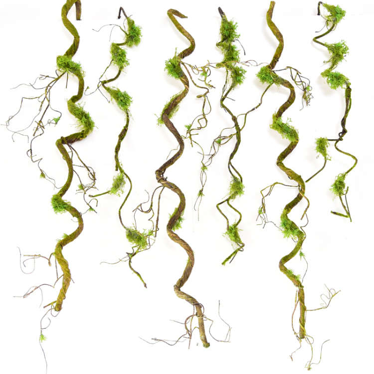 仿真枯树藤条干树藤弯曲造型假树枝装饰缠绕藤蔓植物装饰造景树枝