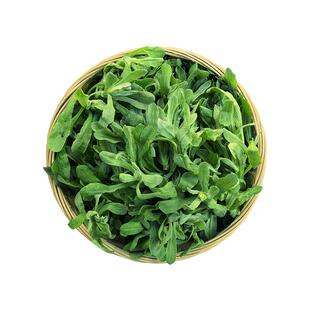 四川野生鼠曲草新鲜现摘清明菜鼠鞠草佛尔绒毛水牛花田艾水茨做粿