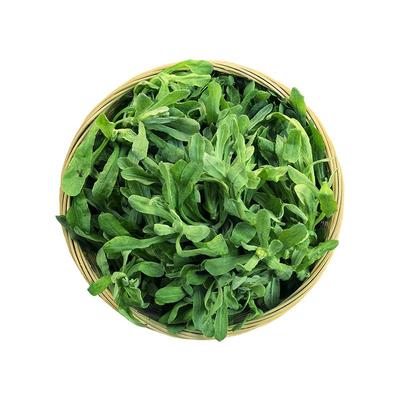 四川野生鼠曲草新鲜现摘清明菜鼠鞠草佛尔绒毛水牛花田艾水茨做粿