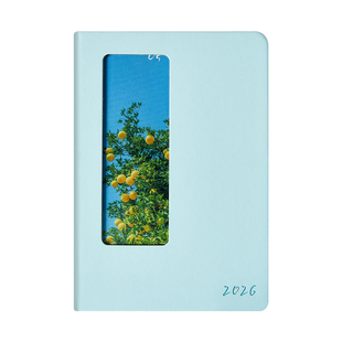 2026年新款日程本A5一日一页自律打卡每日工作计划本办公时间轴管理日历记事本简约高颜值笔记本日记本可定制