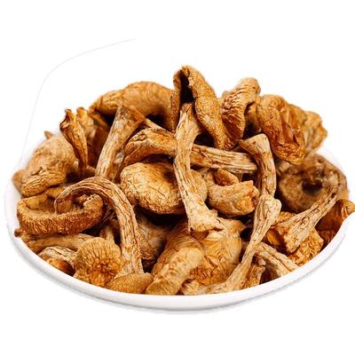 东北袋包滑子菇大兴安岭新蘑菇