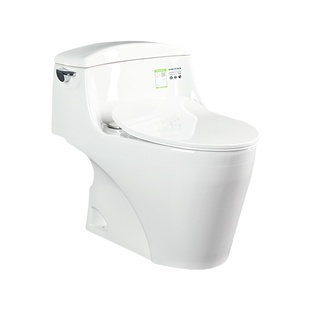 TOTO连体马桶CW923SEBT家用超漩冲洗智洁节水全包坐便器 (04-A)