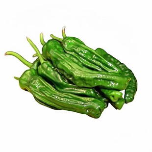 皱皮辣椒苗秧苗高产皱皮青椒苗超辣麻椒泡椒四季阳台易活盆栽苗菜