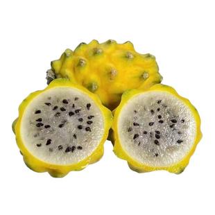 顺丰精选海南燕窝果新鲜麒麟果大果珍贵水果礼盒装罕见的贵族水果