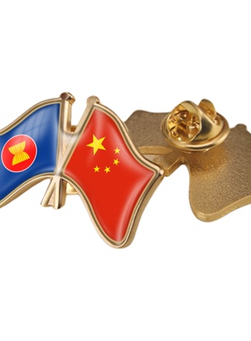 中国和东盟双旗帜交叉旗帜友谊旗帜徽章胸章高档配饰