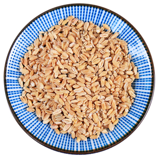 中草药浮小麦500g止汗盗汗茶中药材中草药浮麦小麦瘪子麦米茶泡水