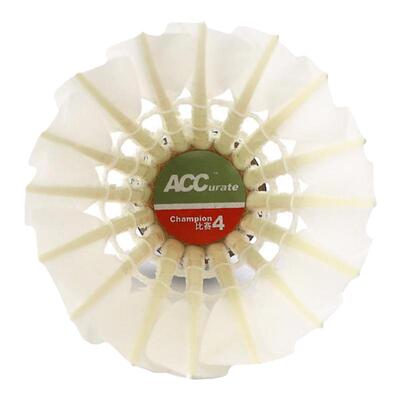 ACC比赛羽毛球4号（飞行稳定）