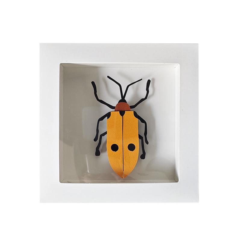 昆虫标本自然生物课学生儿童手工diy制作材料包益智蜘蛛立体艺术