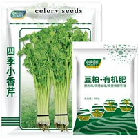 Four Seasons Little Milky Milknium Seed 5G Original+1 фунт органических удобрений