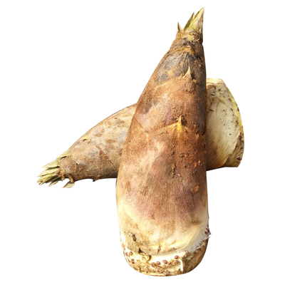 江西新鲜现挖野生黄泥春笋