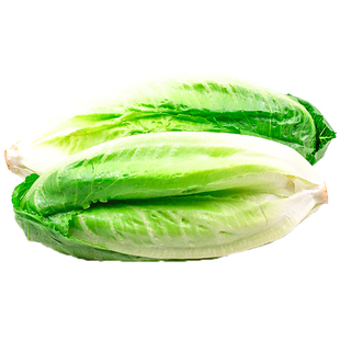 新鲜蔬菜500g 包心罗马生菜 包心罗纹 西餐沙拉菜