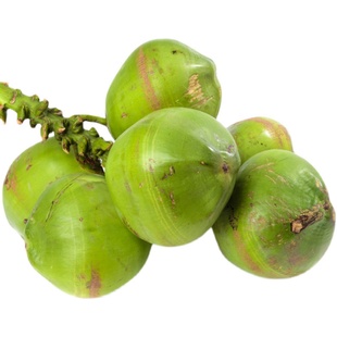 海南椰子文昌带皮椰青新鲜天然椰汁孕妇嫩大椰子蛋10个装当季水果