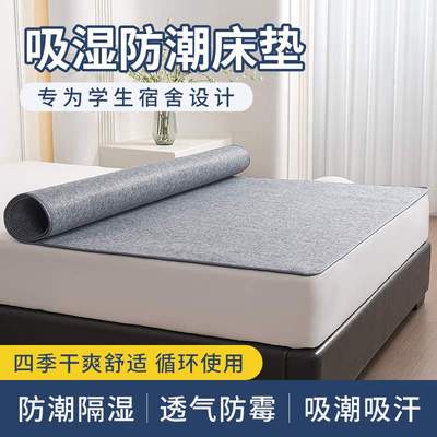 防潮垫床上用家用吸湿防潮防霉防滑毛毡垫子学生宿舍单人床榻榻米