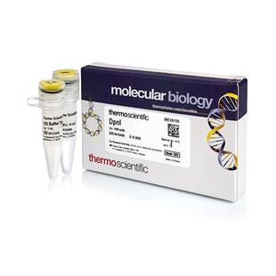 DpnI (10 UµL) 酶和抑制剂 thermofisher上海生物网