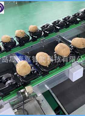 安丘水蜜桃自动选果机 沃柑猕猴桃智能重量分选机 梨大小分级设备
