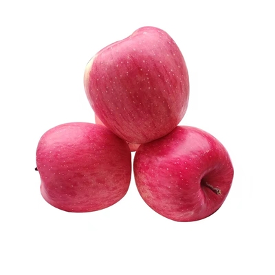 静宁红富士苹果脆甜可口鲜嫩多汁