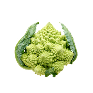 意大利宝塔菜花椰菜种子特色菜花花菜种籽孑秋季四季菜种蔬菜菜籽