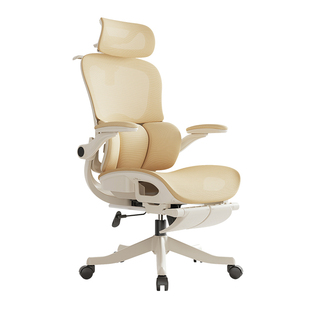 新款陵影女生人体工学椅电脑椅电竞椅家用办公椅学习椅子宿舍