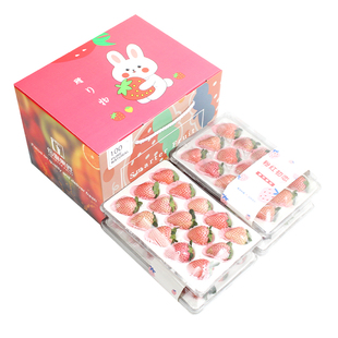 礼盒装2/4盒云南粉玉草莓大现摘新鲜水果淡雪白雪高端送礼顺丰