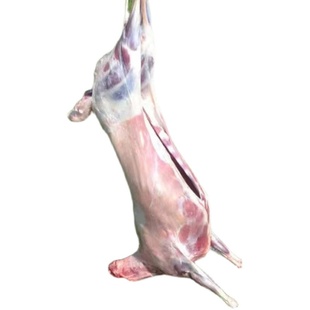 伟和祥新鲜现杀冷冻内蒙古羊前腿整只带皮不带皮羊排羊后腿8斤