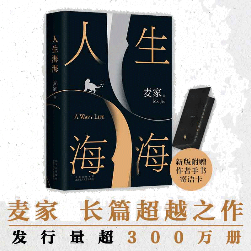 当当印签版【飞机盒+赠贴纸+冰箱贴+笔记本 】人生海海 麦家经典长篇力作 茅盾文学奖得主作品 解密暗算风声人间信现当代文学小说