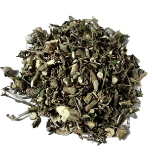 顺丰包邮新鲜野路边荆六月雪苗白马骨根满天星紫苏干货煲汤中药材