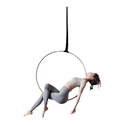 瑞爻空中瑜伽旋转吊环杂技吊环