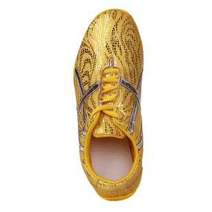 武道世家budosaga专业武术鞋功夫表演竞赛练功运动训练男女太极鞋