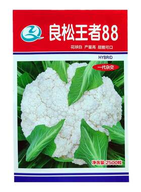 金冠88白松花菜籽蔬菜子良松王者