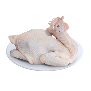 立华鲜谷饲草鸡母鸡走地鸡草鸡柴鸡笨鸡新鲜现杀农家散养整只