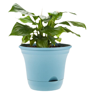 懒人花盆阳台种菜盆自动吸水长方形塑料花盆简约透气自带托盘清仓