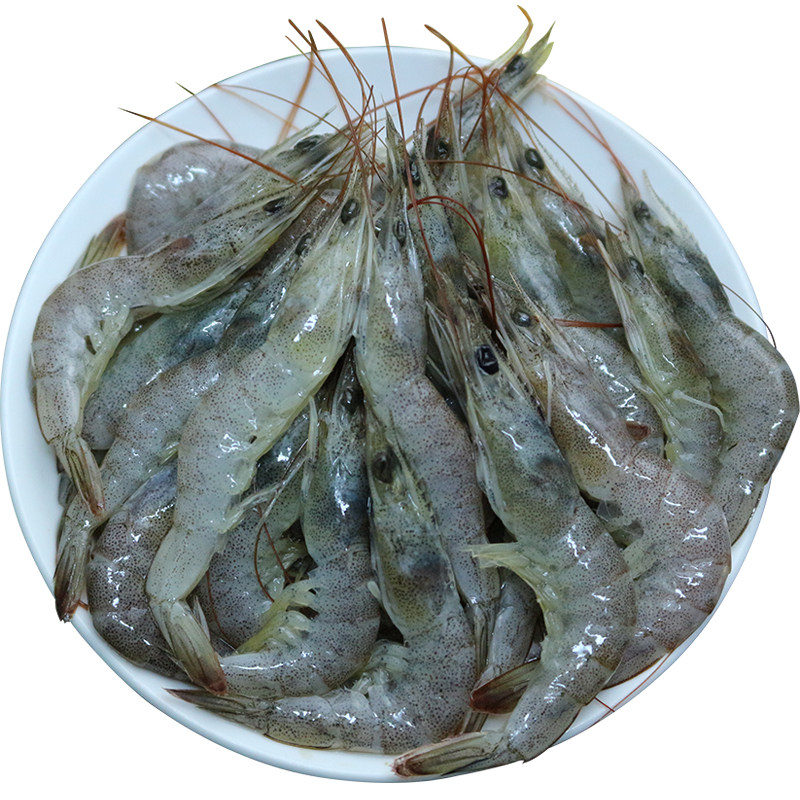 新鲜小海虾鲜活速冻明虾青岛野生虾海鲜水产2斤顺丰包邮
