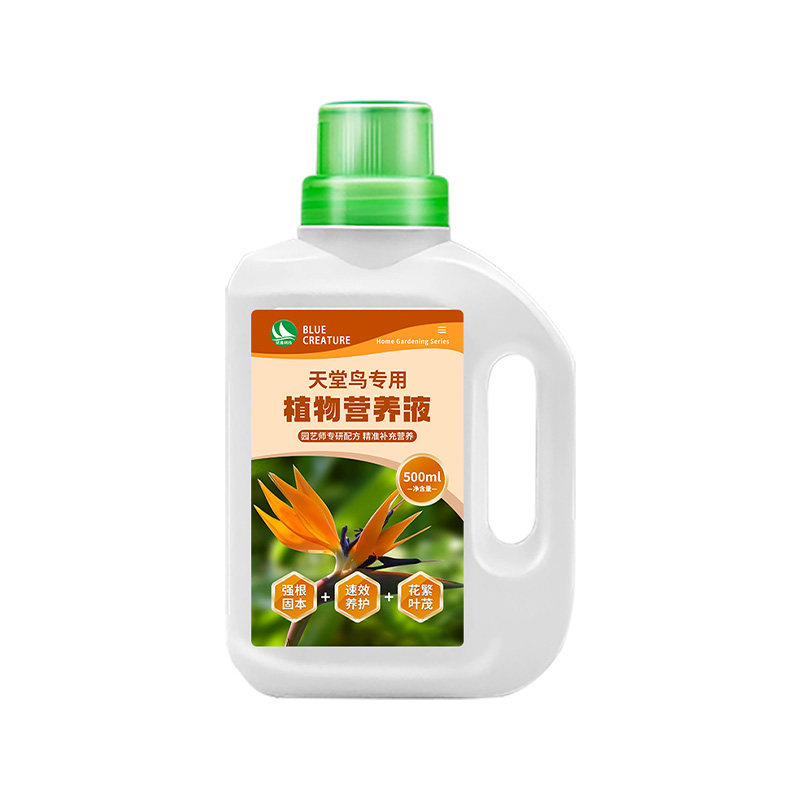 花多多天堂鸟专用营养液黄叶卷边