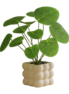 仿真植物桌面盆景绿植室内盆栽