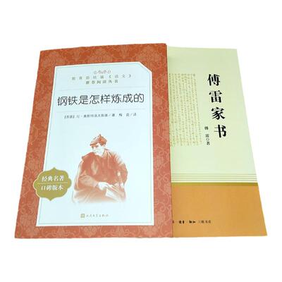 钢铁是怎样炼成的傅雷家书