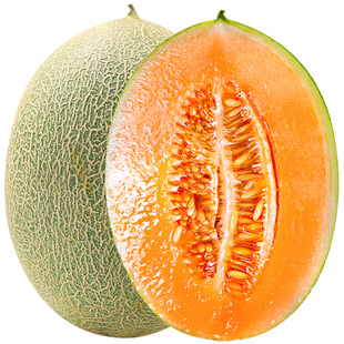 海南哈密瓜正宗晓蜜25号新鲜当季水果脆甜网纹西州蜜脆甜整箱包邮